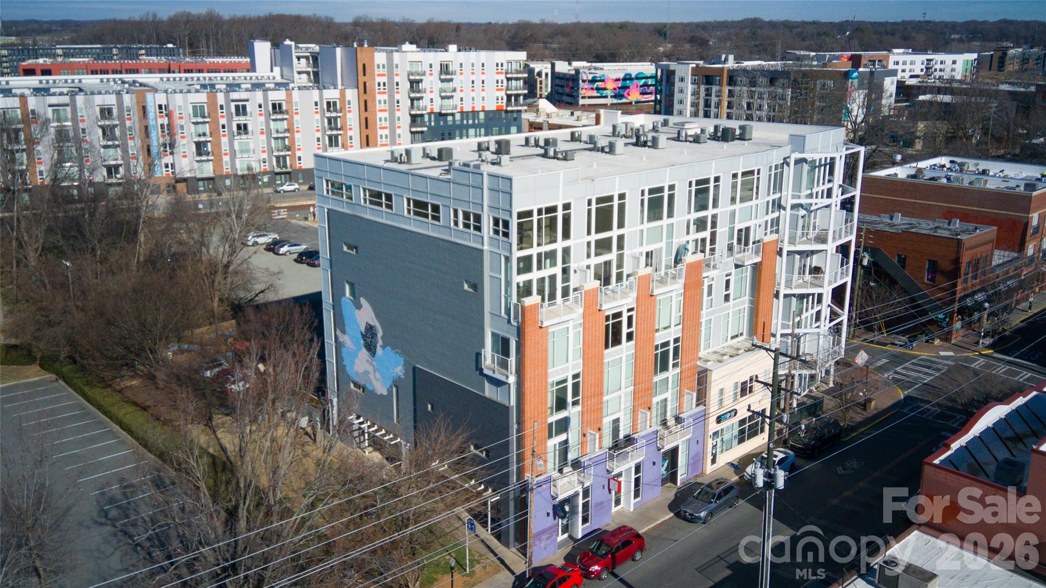 3123 N Davidson Street Unit 313, Charlotte NC 28205