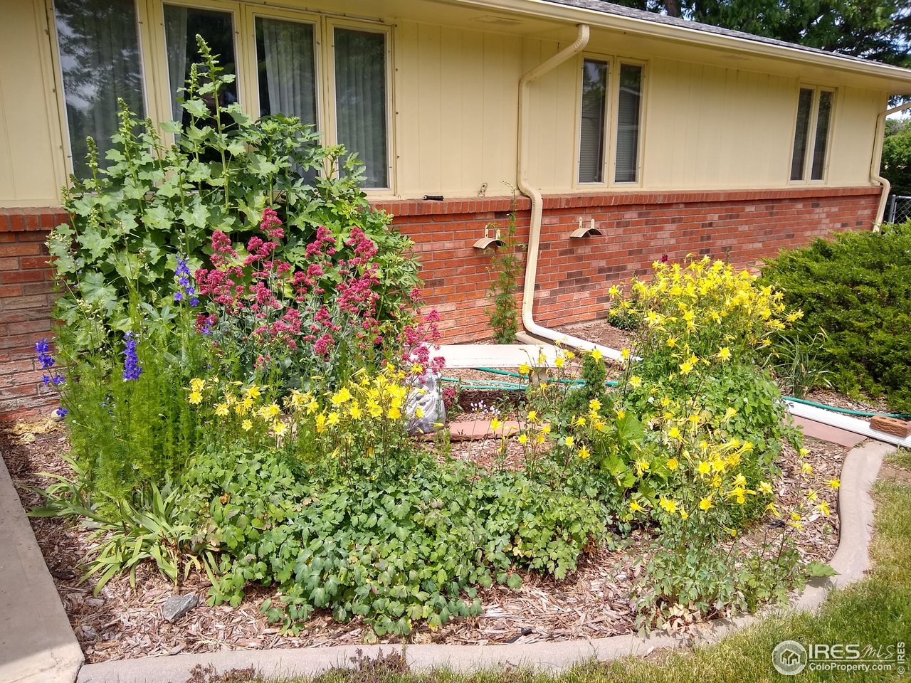 1327 Audubon Pl, Loveland CO 80538