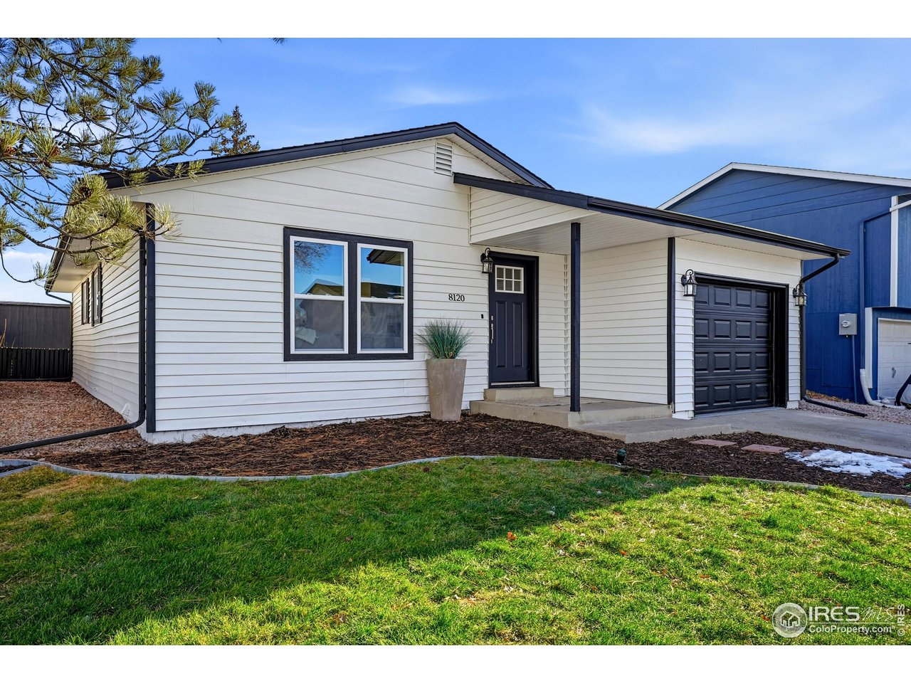 8120 Mummy Range Dr, Fort Collins CO 80528