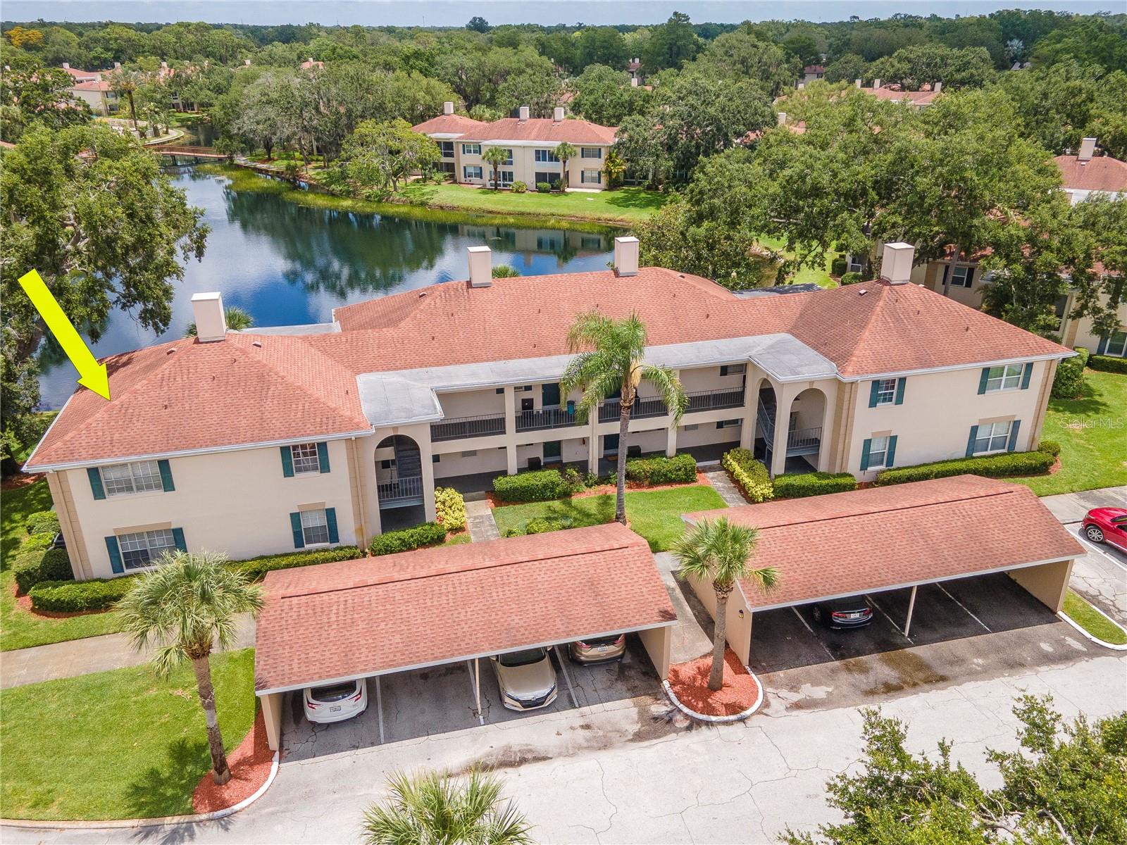 10330 CARROLLWOOD LN #95, Tampa FL 33618