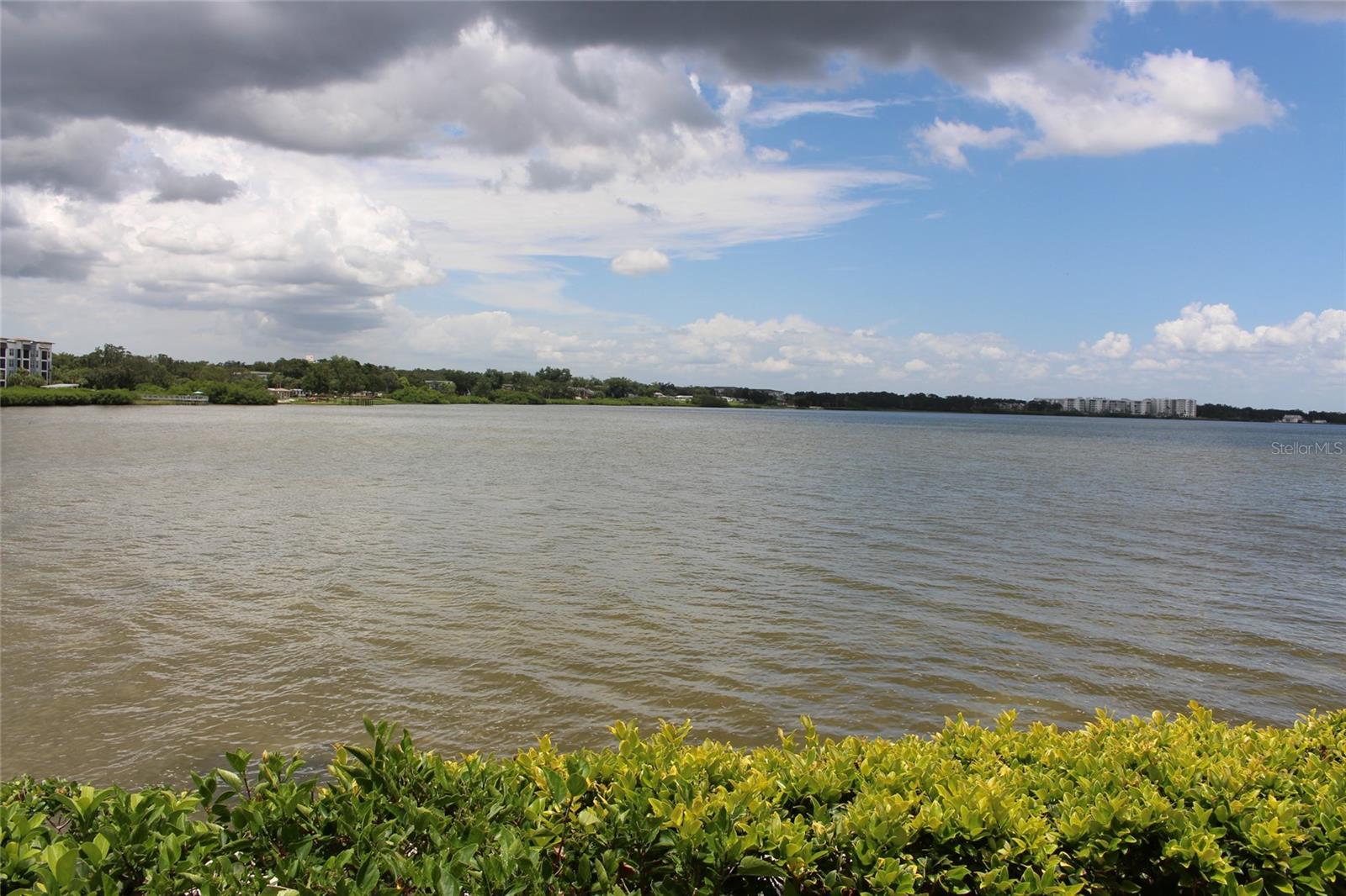19029 US HIGHWAY 19 N #16C, Clearwater FL 33764