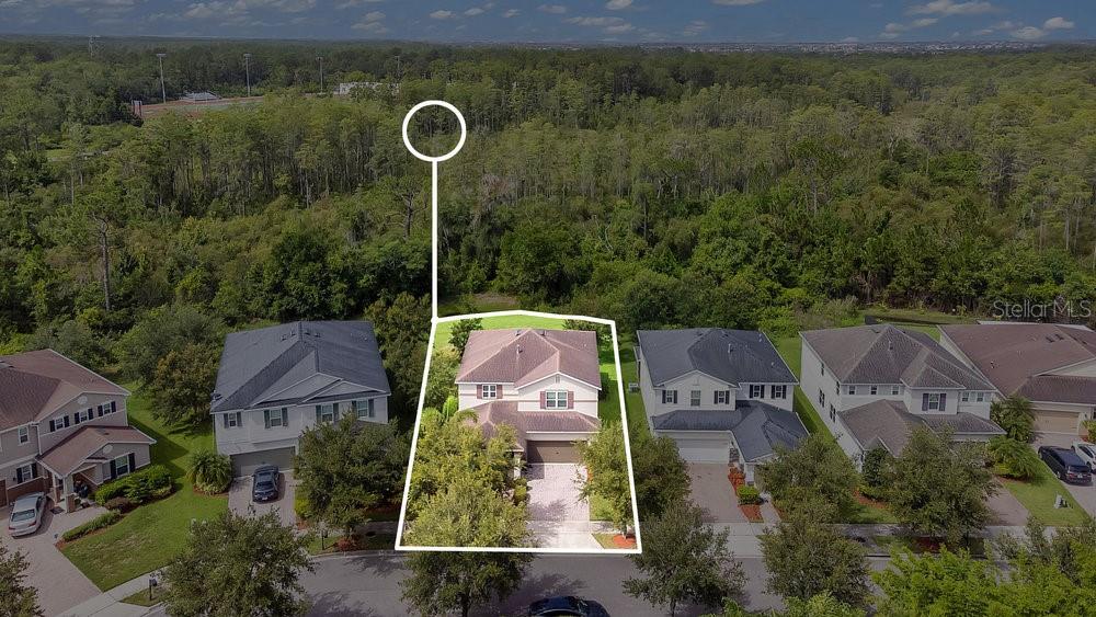 6734 BRIDGEWATER VILLAGE RD, Windermere FL 34786