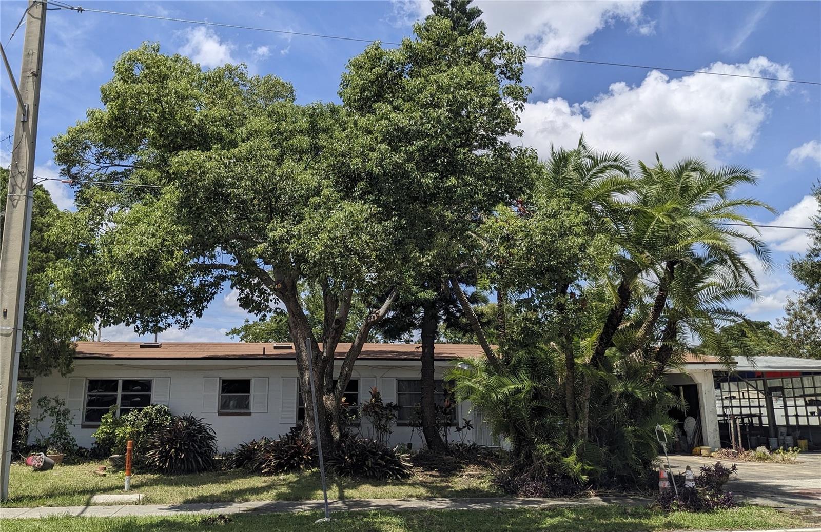6513 OLEANDER DR, Orlando FL 32807
