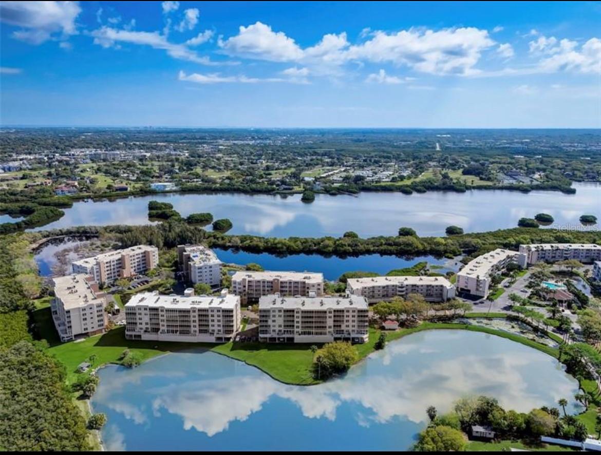 6425 SHORELINE DR #10105, St Petersburg FL 33708