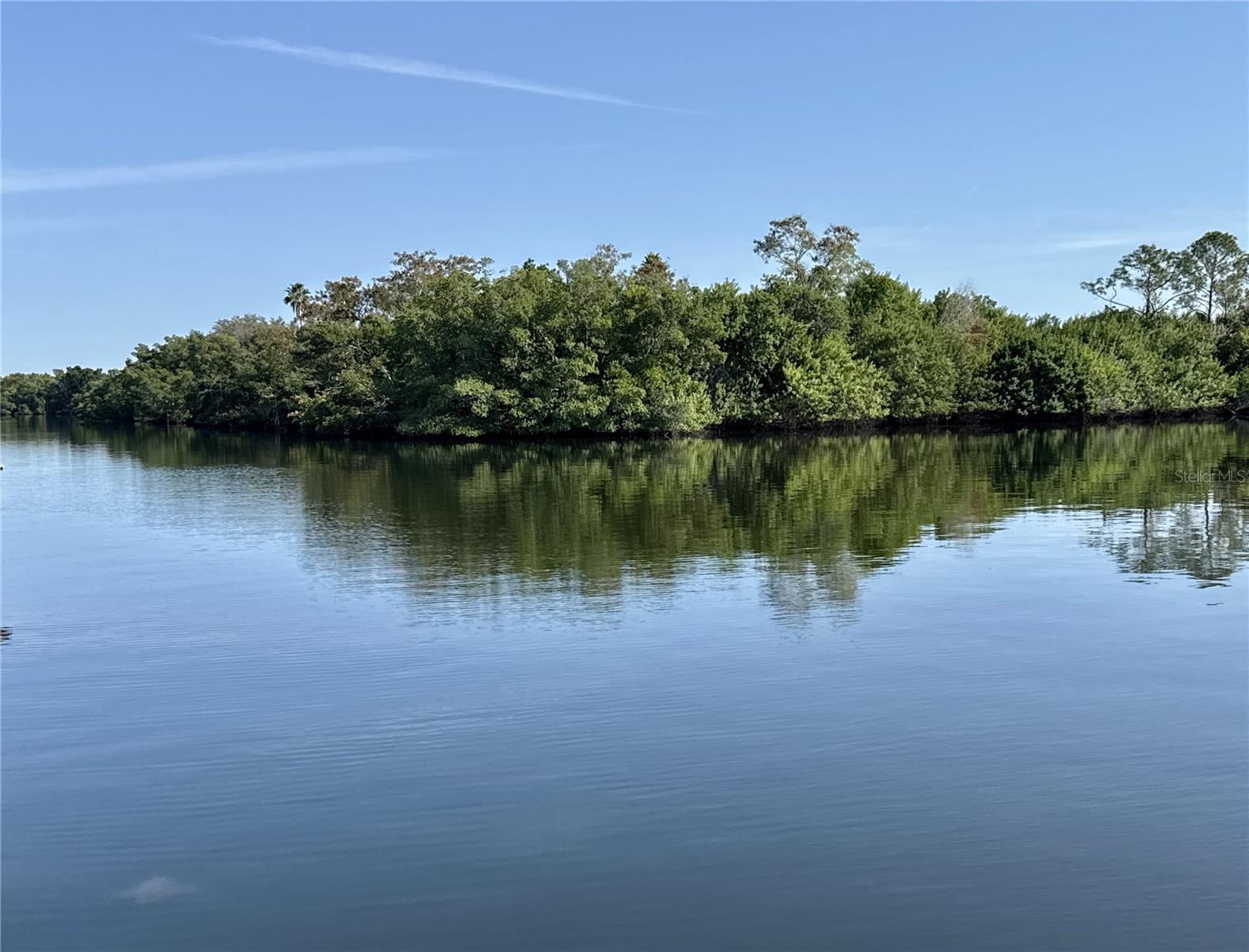 340 MOUNT OAK AVE NE #754, St Petersburg FL 33702