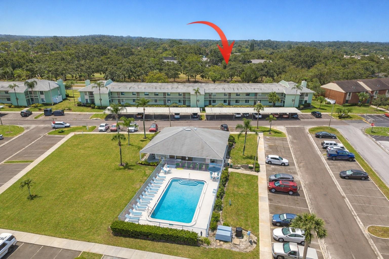 218 CARYL WAY #218, Oldsmar FL 34677