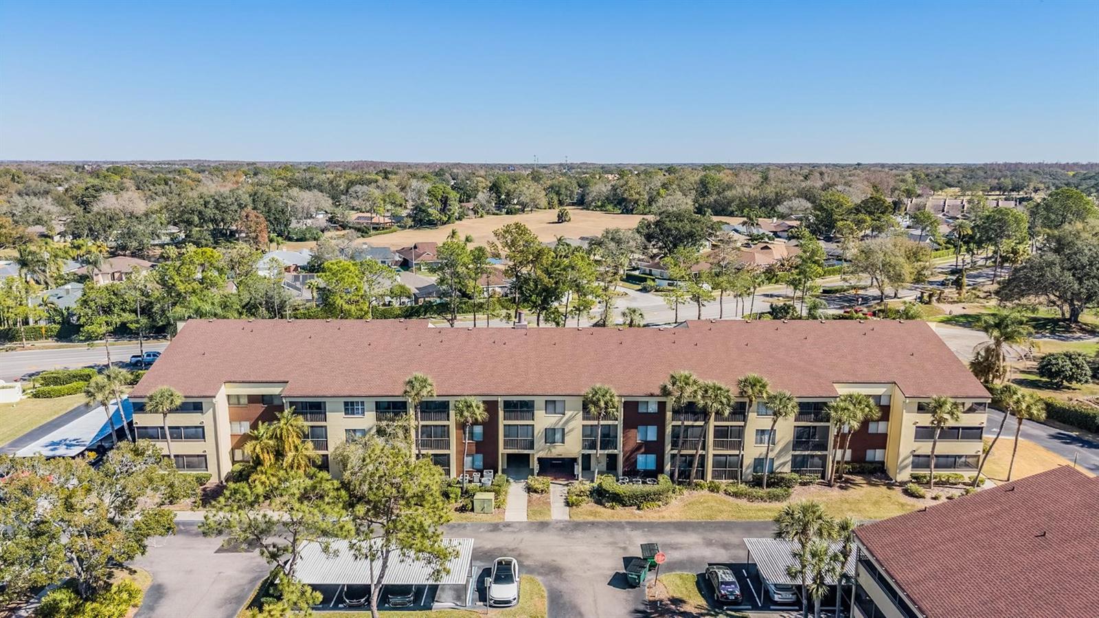 13602 S VILLAGE DR #1204, Tampa FL 33618