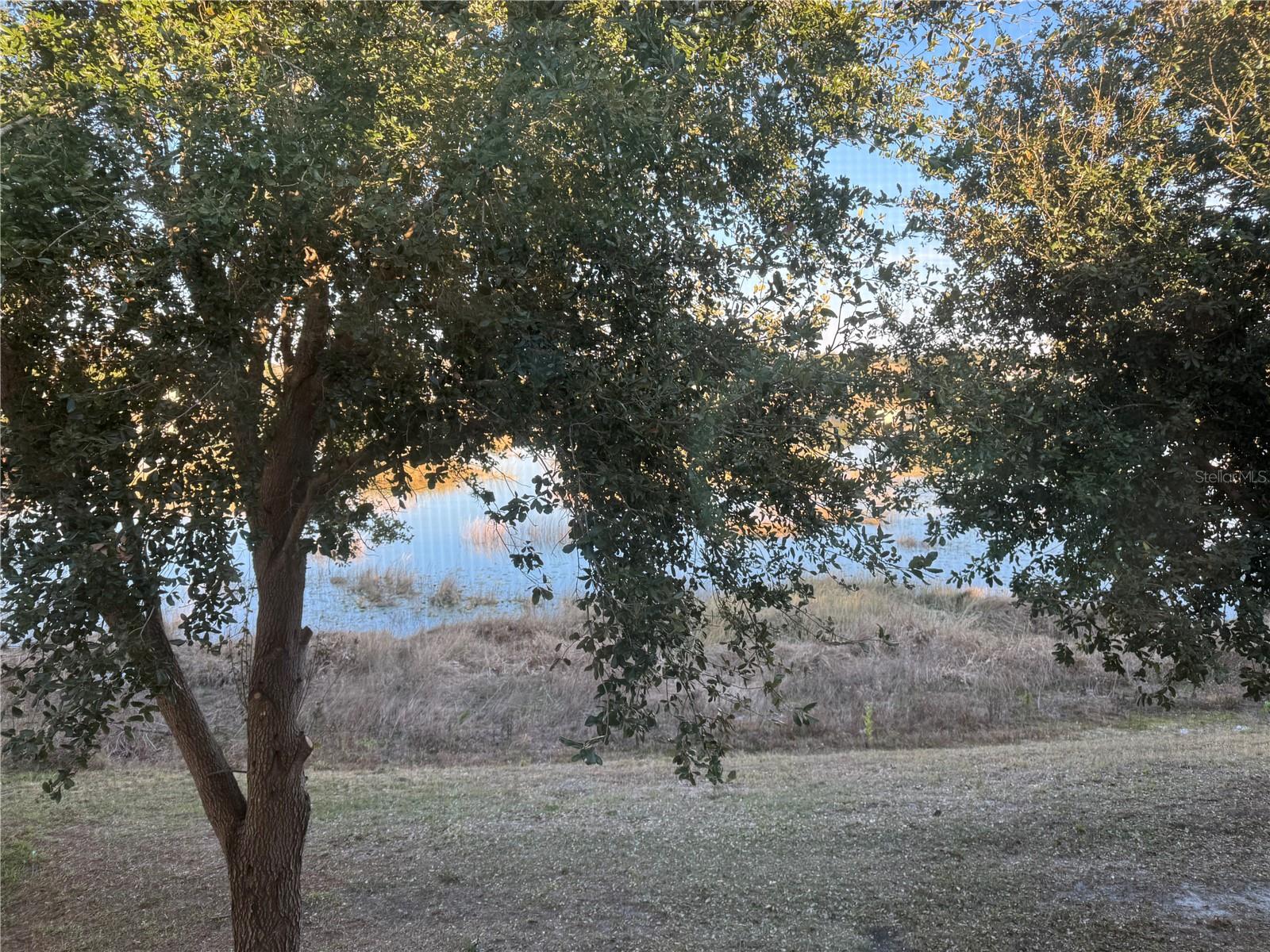 3840 SILVERLAKE WAY, Wesley Chapel FL 33544