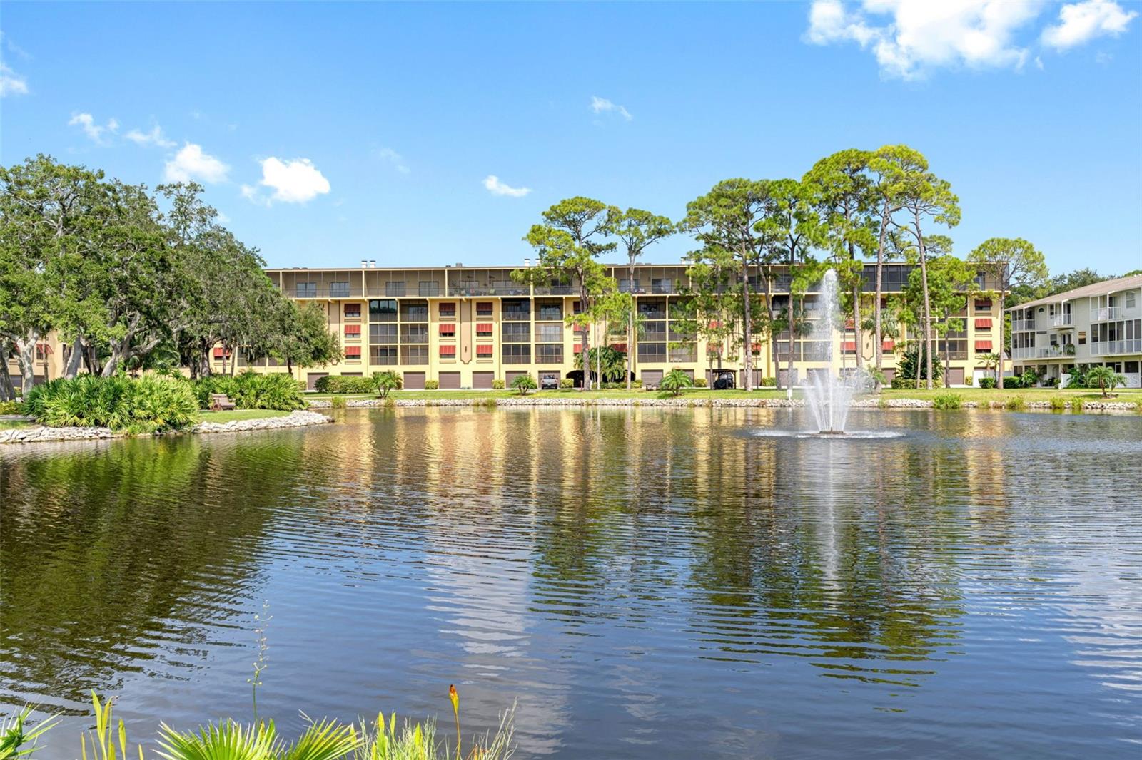 5775 PARK ST N #411, St Petersburg FL 33709