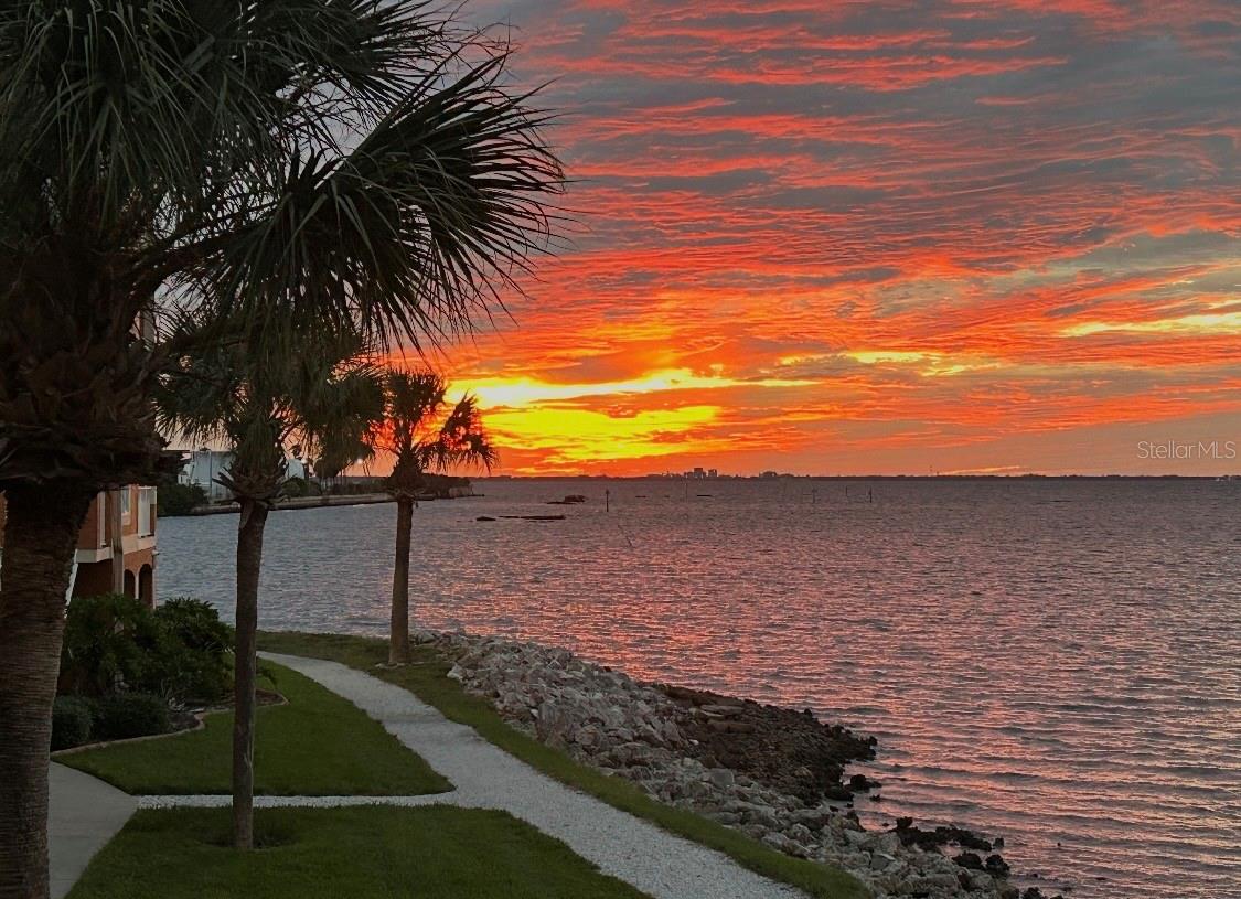 5000 CULBREATH KEY WAY #9-112, Tampa FL 33611