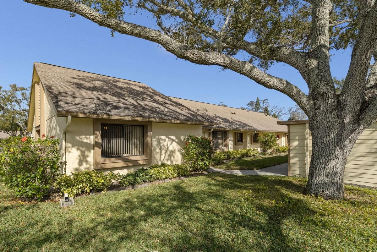 2573 OAKLEAF LN #39A, Clearwater FL 33763