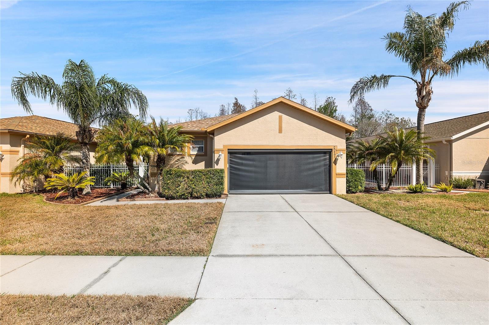 20907 DIAMONTE DR, Land O Lakes FL 34637