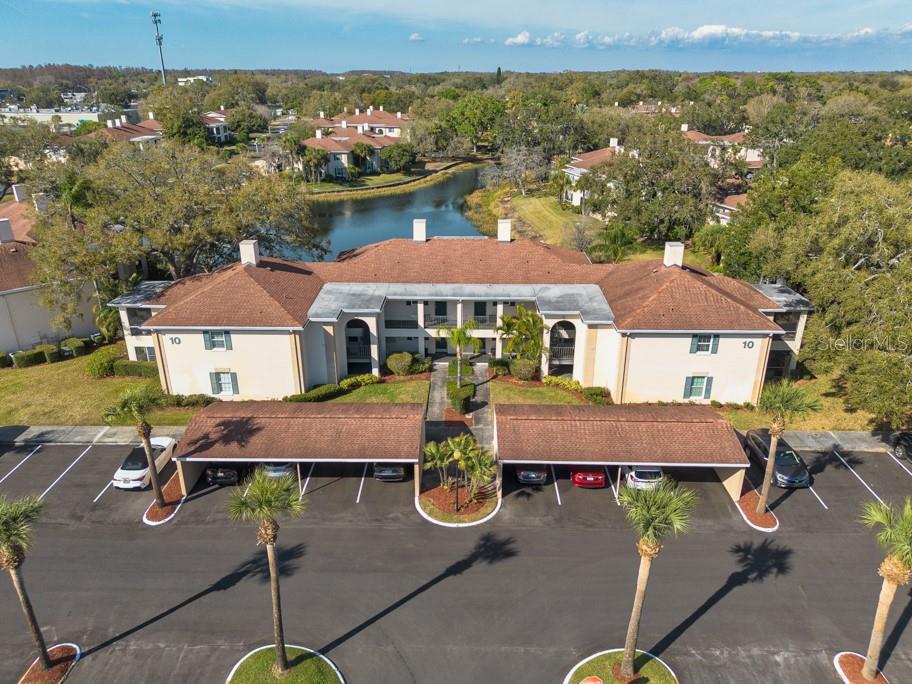 10336 CARROLLWOOD LN #106, Tampa FL 33618