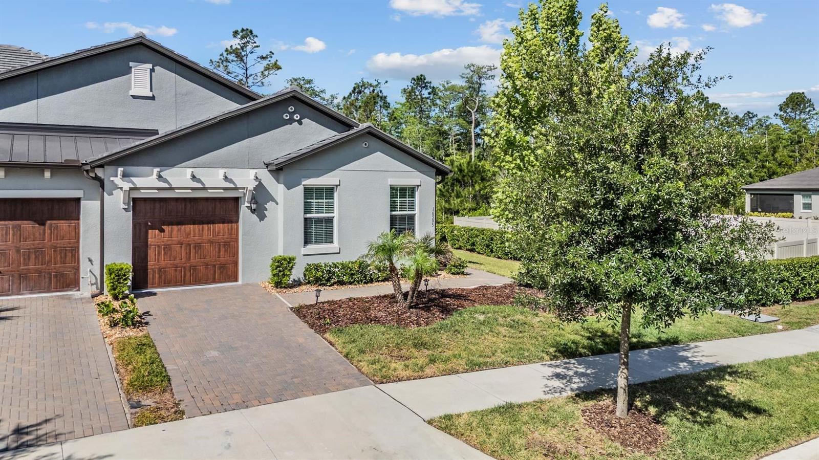 16595 SHELL BAY DR, Land O Lakes FL 34638