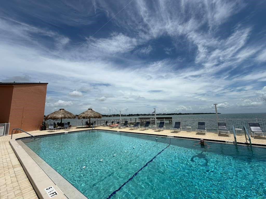 7432 SUNSHINE SKYWAY LN S #206, St Petersburg FL 33711