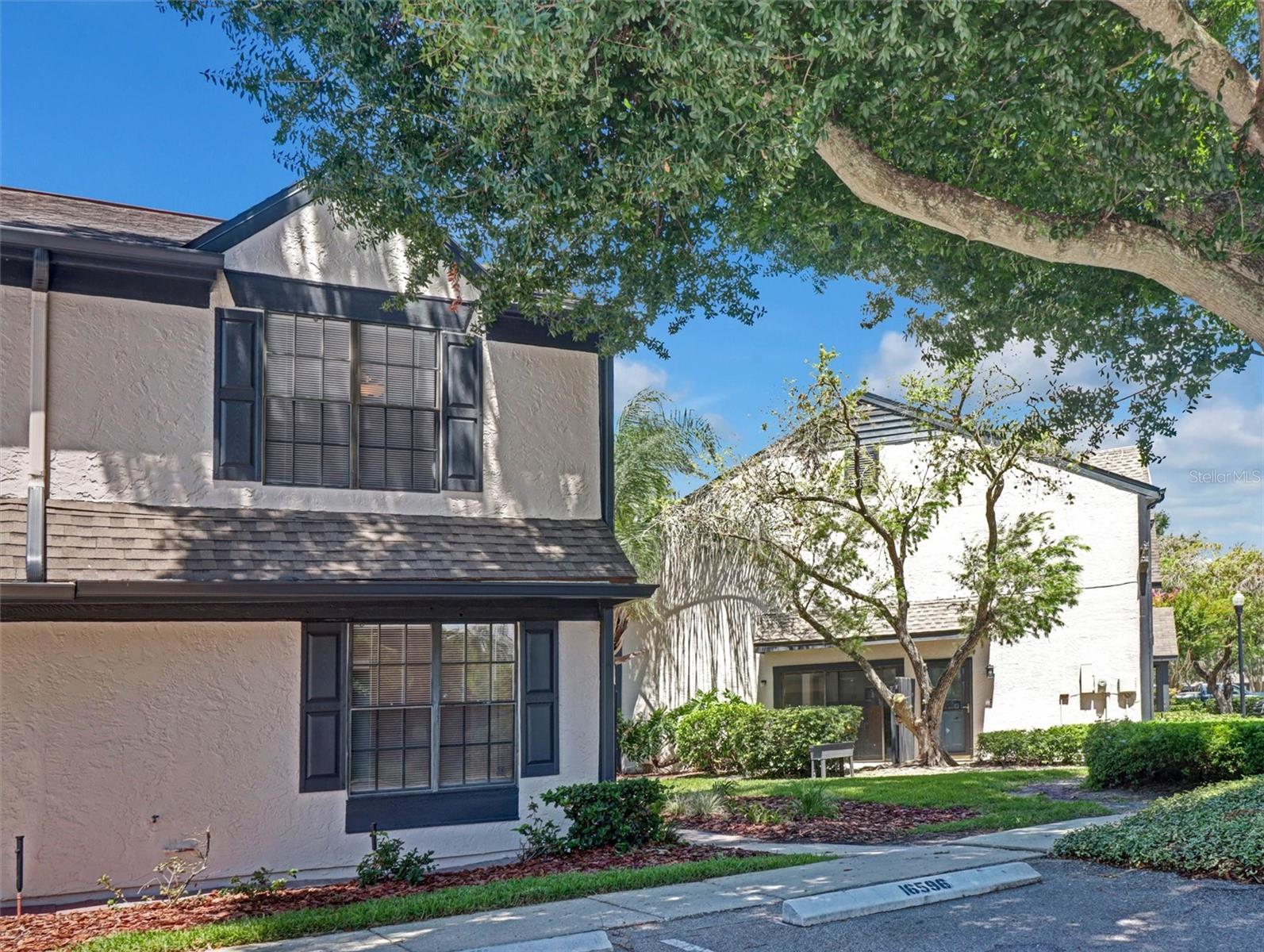 16596 BRIGADOON DR, Tampa FL 33618