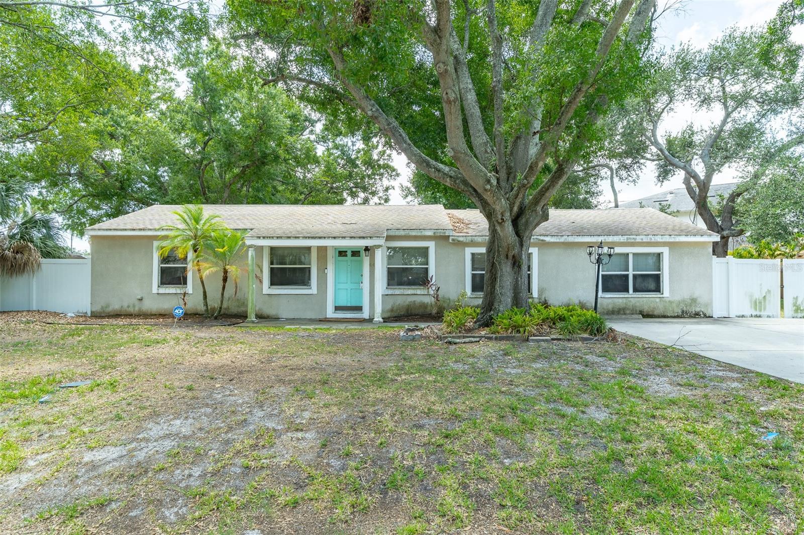 , Tampa FL 33611