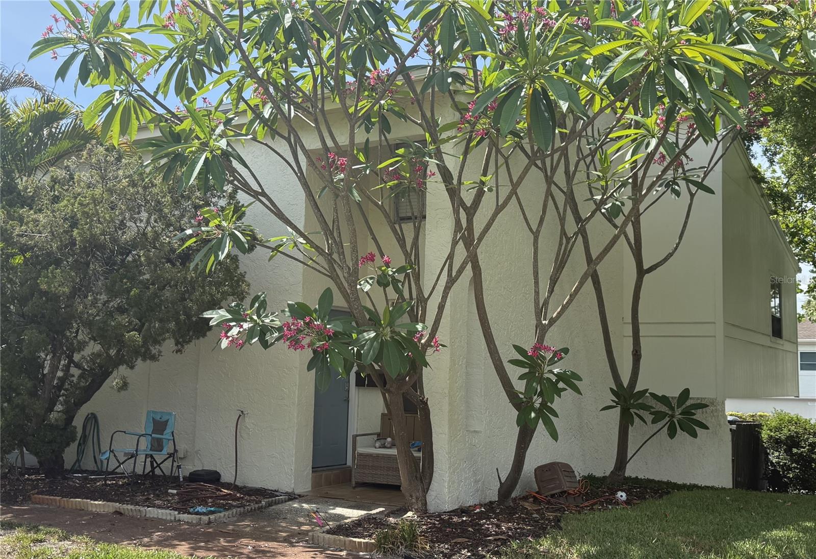 4221 LA SORRENTO CT, Tampa FL 33611