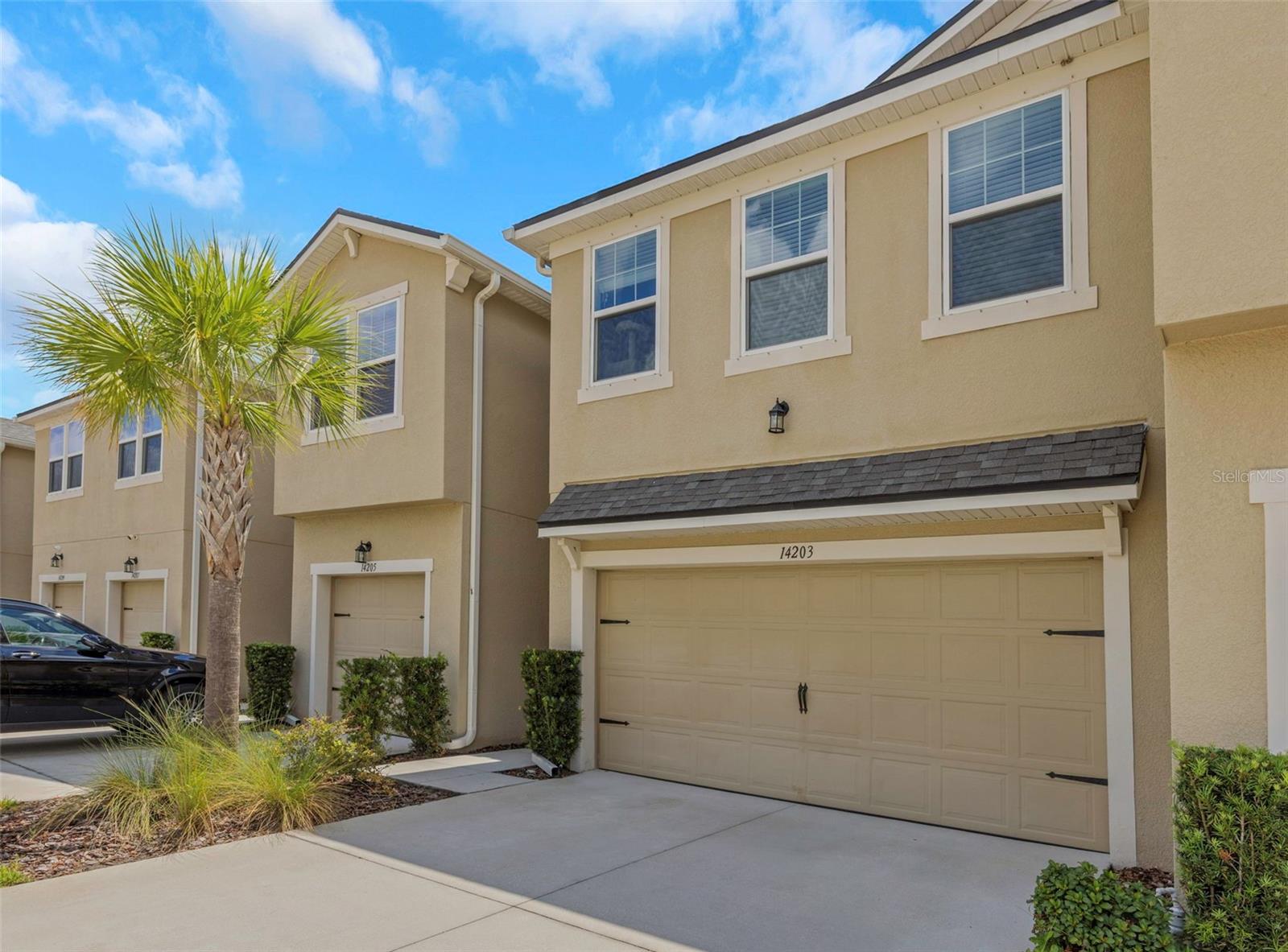 14203 DAMSELFLY DR, Tampa FL 33625