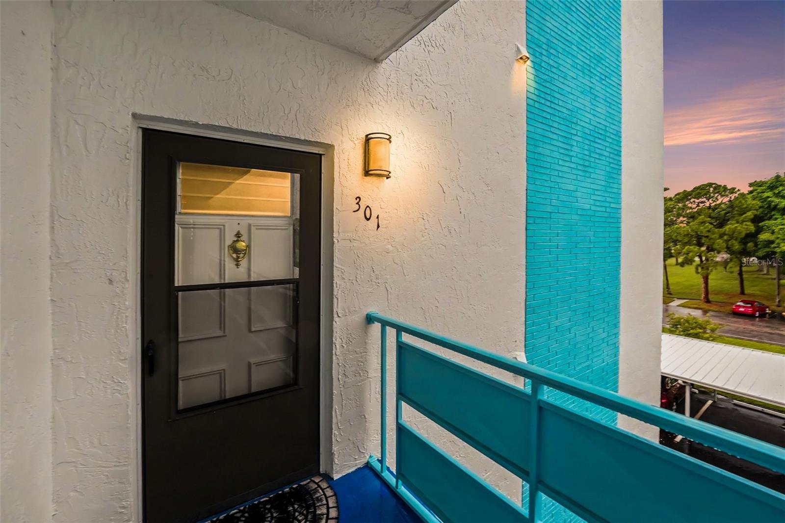 5970 80TH ST N #301, St Petersburg FL 33709