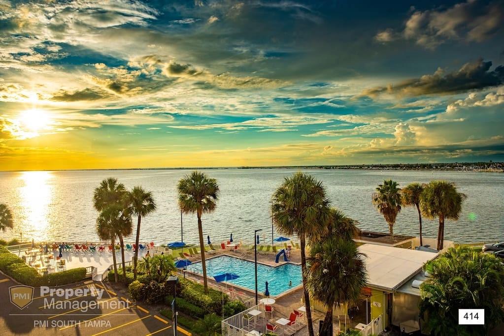 2506 N ROCKY POINT DR #414, Tampa FL 33607