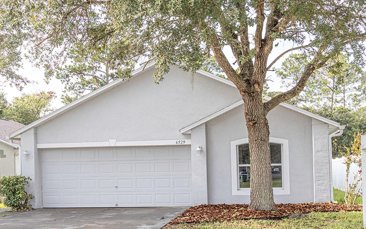 6529 TABOGI TRL, Wesley Chapel FL 33545