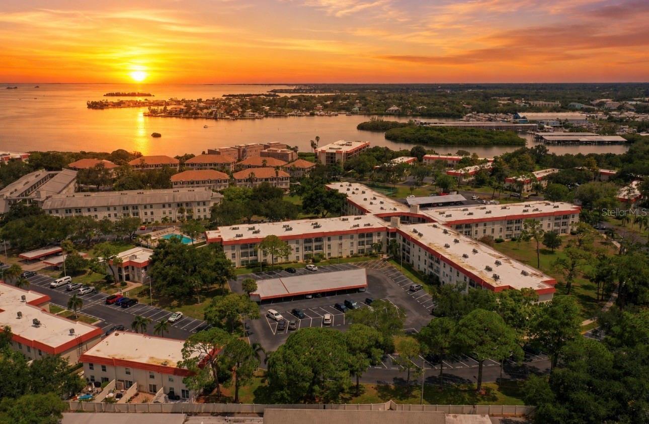 2700 BAYSHORE BLVD #2110, Dunedin FL 34698