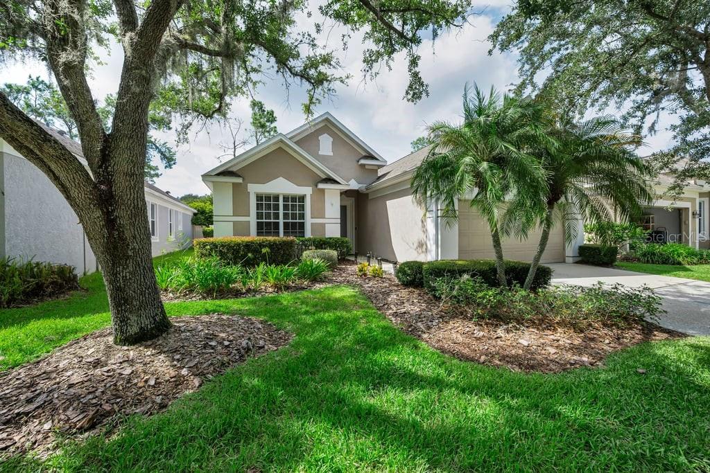 18104 HAMDEN PARK WAY, Tampa FL 33647