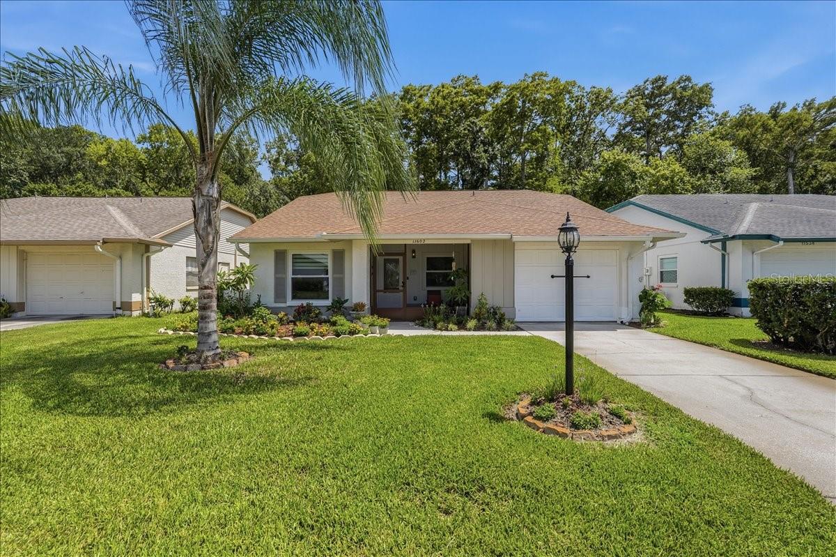 11602 WHITE ASH DR, New Port Richey FL 34654