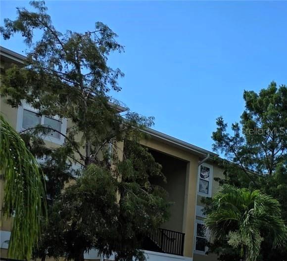 5111 ROYAL PALMS WAY #202, New Port Richey FL 34652