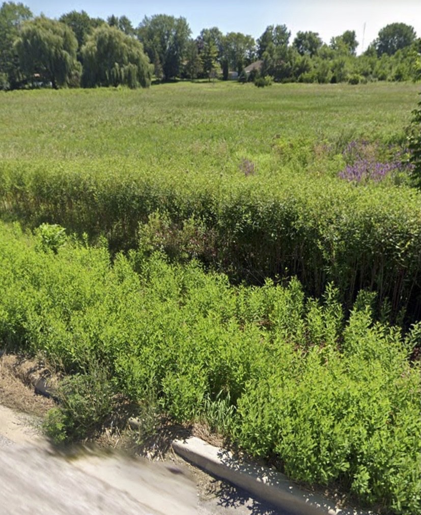 738 Crest Avenue, Schaumburg IL 60193