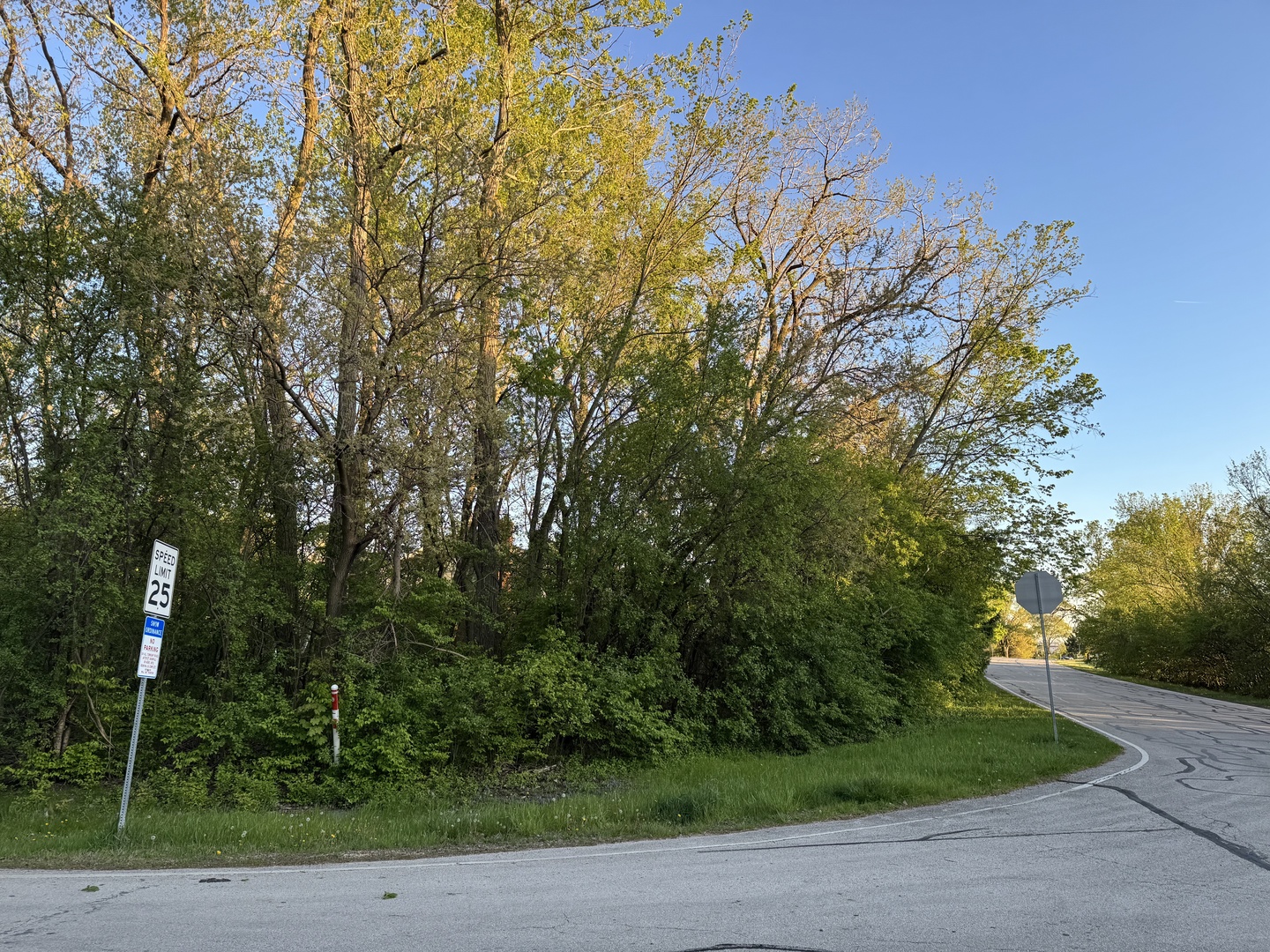 Lacey Avenue, Naperville IL 60563