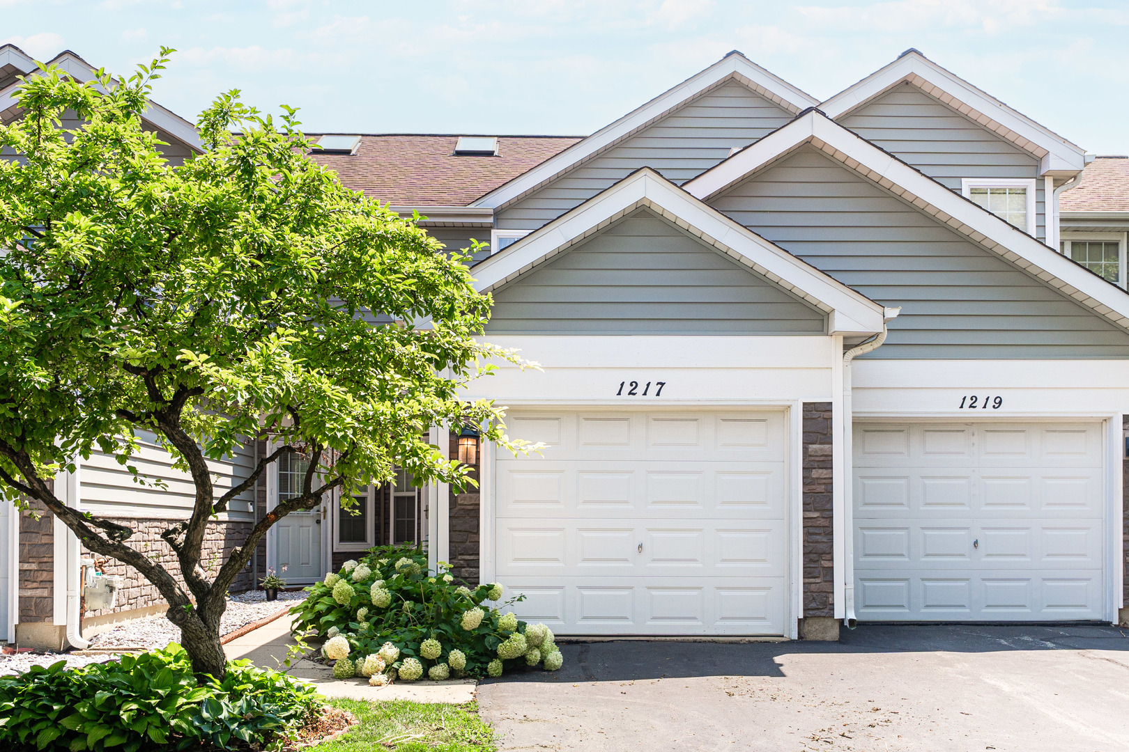 1217 CRANBROOK Drive, Schaumburg IL 60193