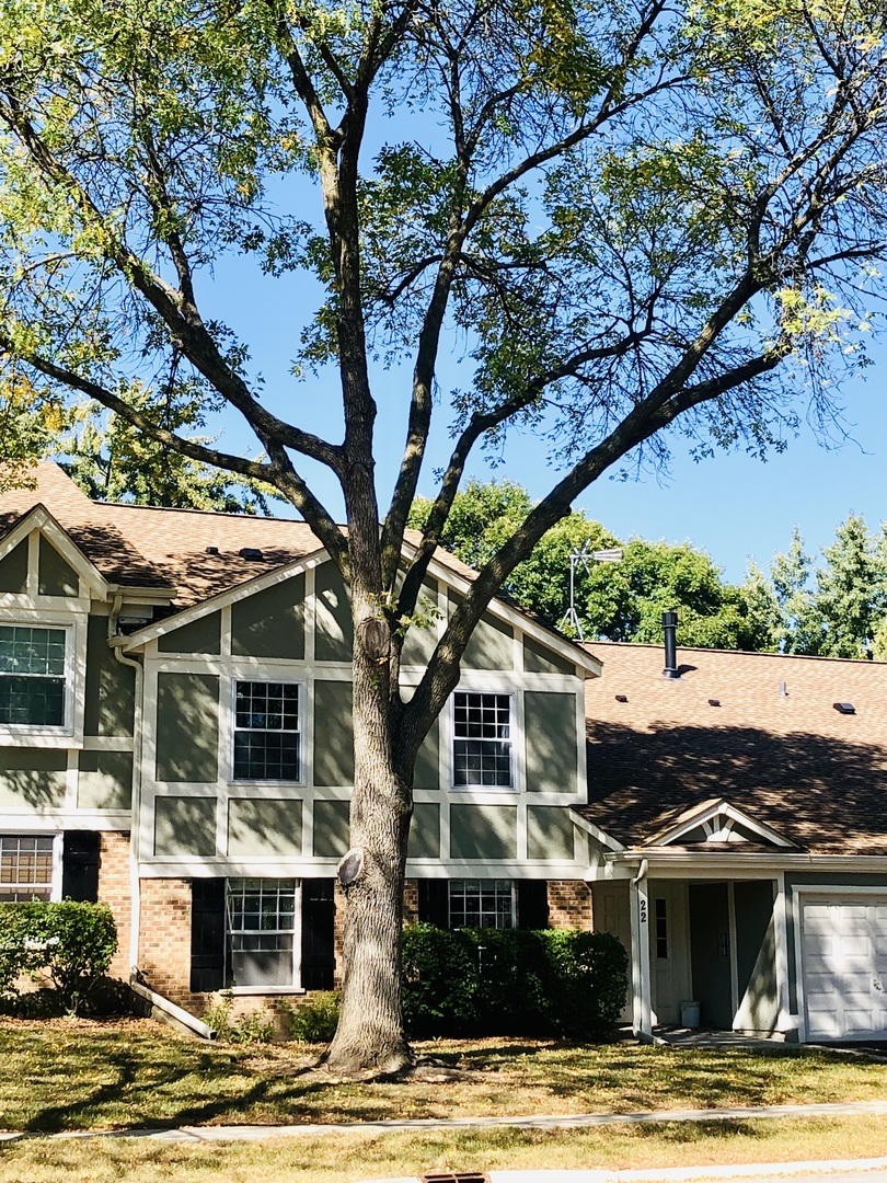 22 Waterbury Lane Unit N1, Schaumburg IL 60193