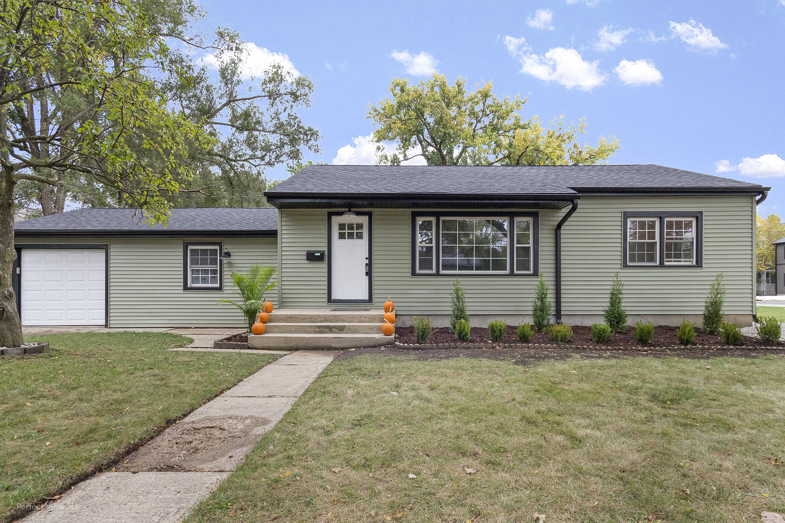 1142 N Webster Street, Naperville IL 60563