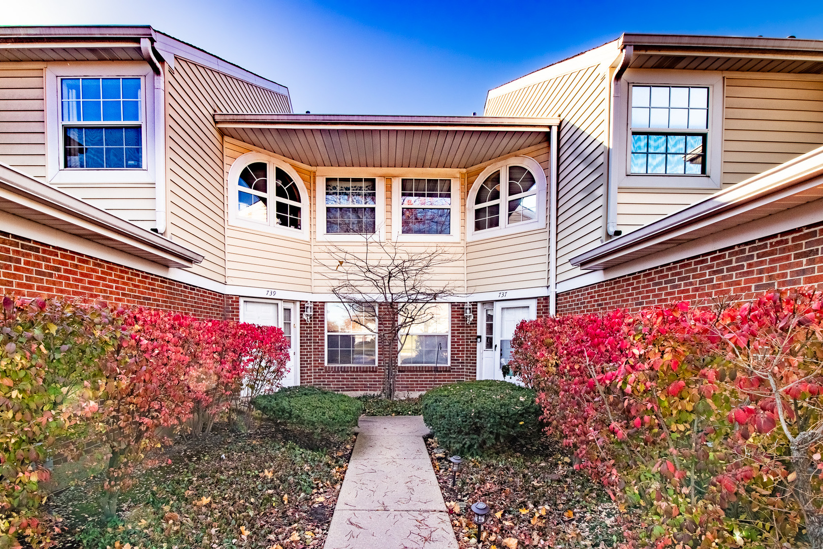 737 W Happfield Drive, Arlington Heights IL 60004