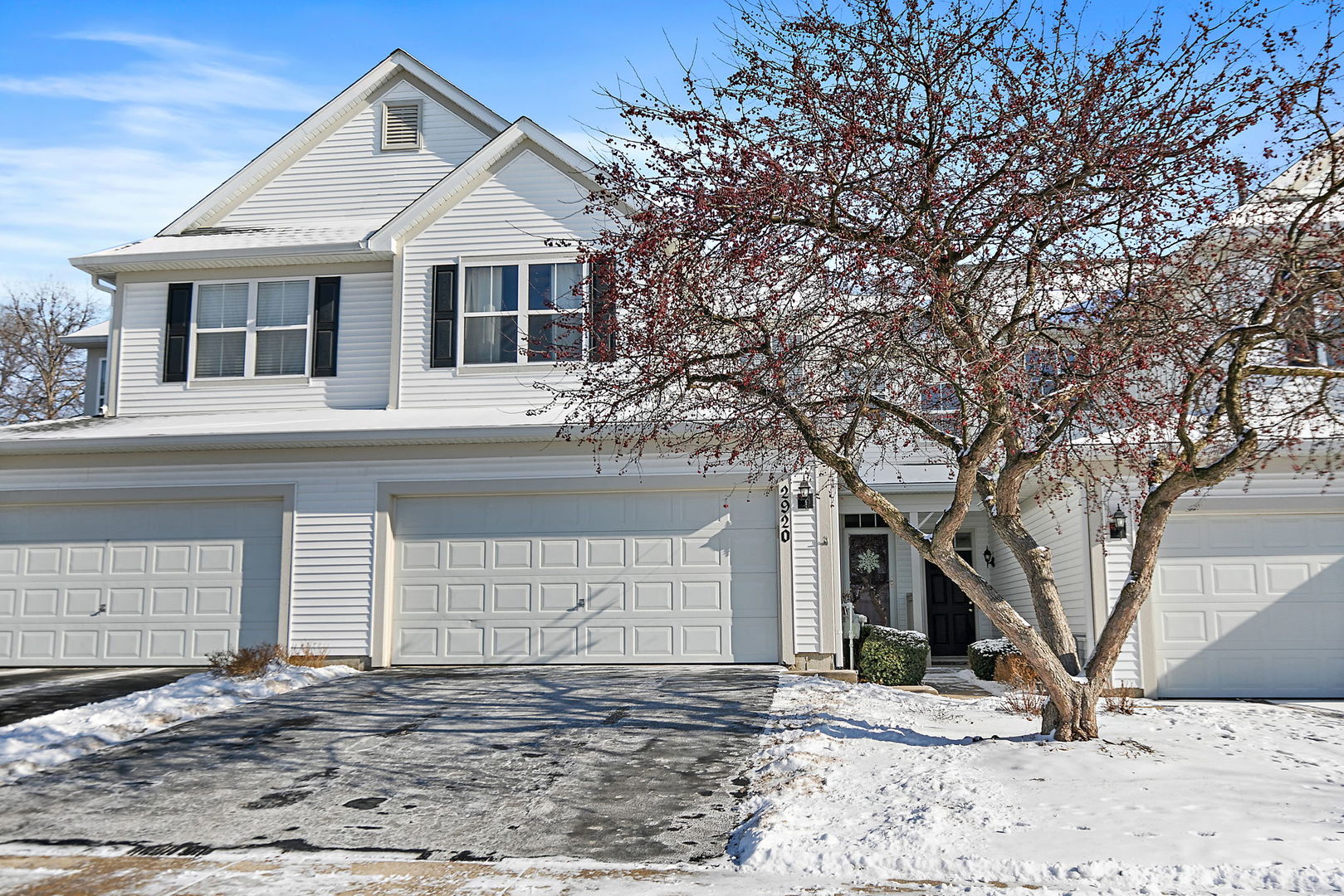 2920 LANGSTON Circle Unit 2920, St. Charles IL 60175