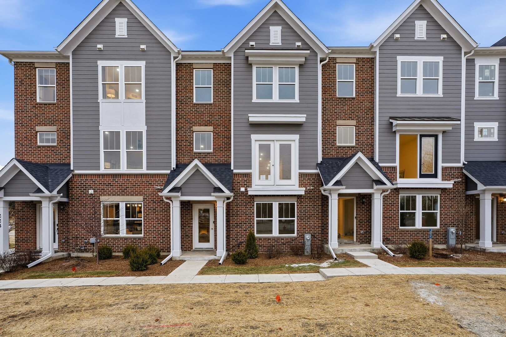 211 Steeple Bush Lane Unit 10343, Schaumburg IL 60193