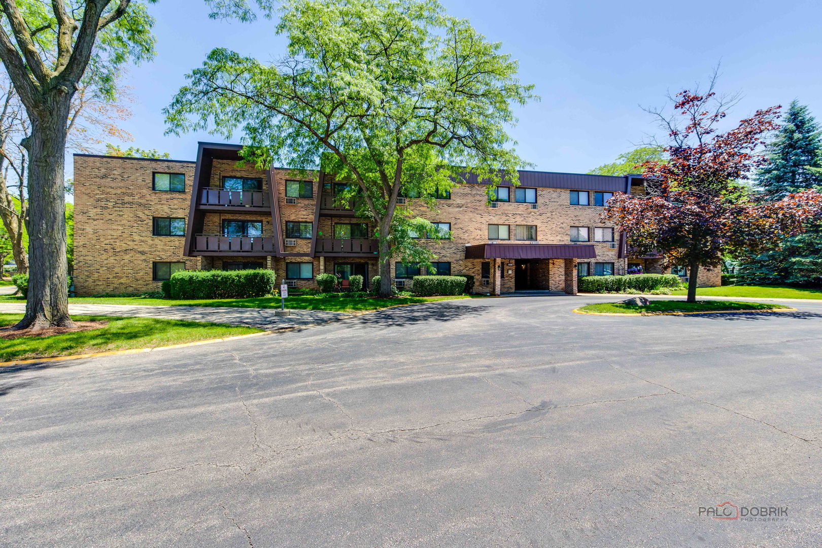 2604 N Windsor Drive Unit 204, Arlington Heights IL 60004