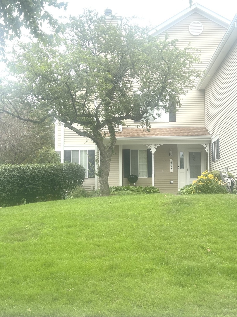 523 Lowell Drive, South Elgin IL 60177