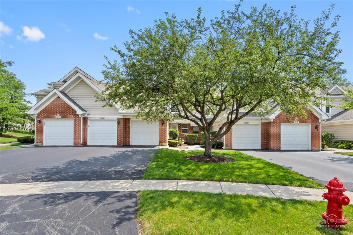 325 Odlum Court, Schaumburg IL 60194