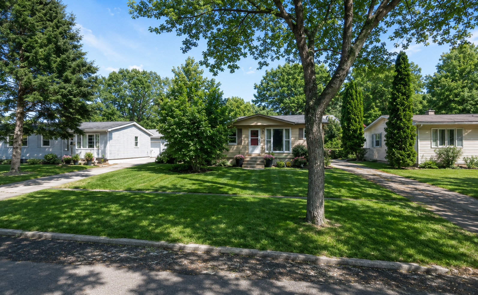 1108 S 10th Avenue, St. Charles IL 60174