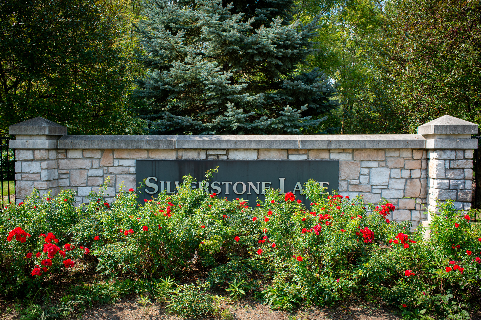 2017 SILVERSTONE Drive Unit 2017, Carpentersville IL 60110