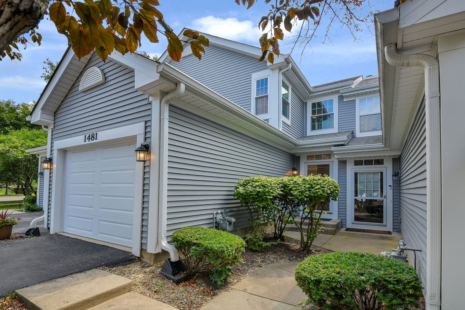 1481 Walnut Hill Avenue, St. Charles IL 60174