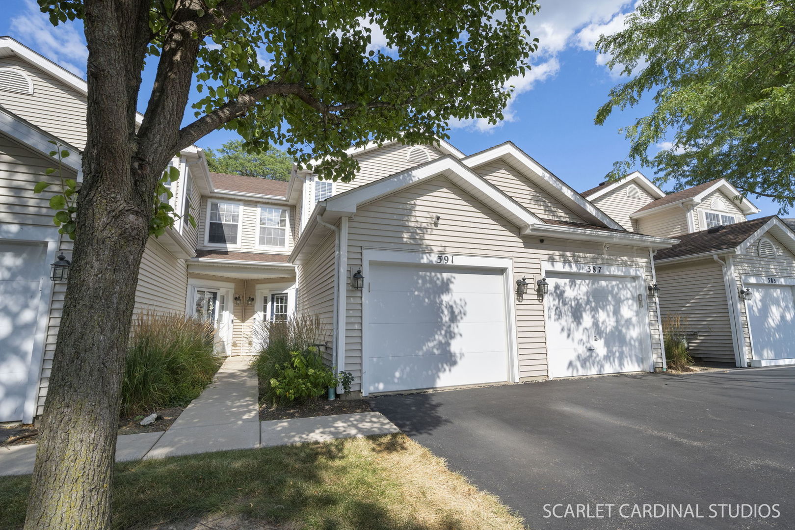 391 Hunterdon Court Unit 4391A, Schaumburg IL 60194