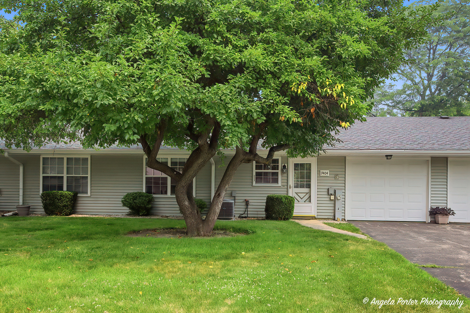 7404 Crest Hill Court Unit 215, Fox Lake IL 60020