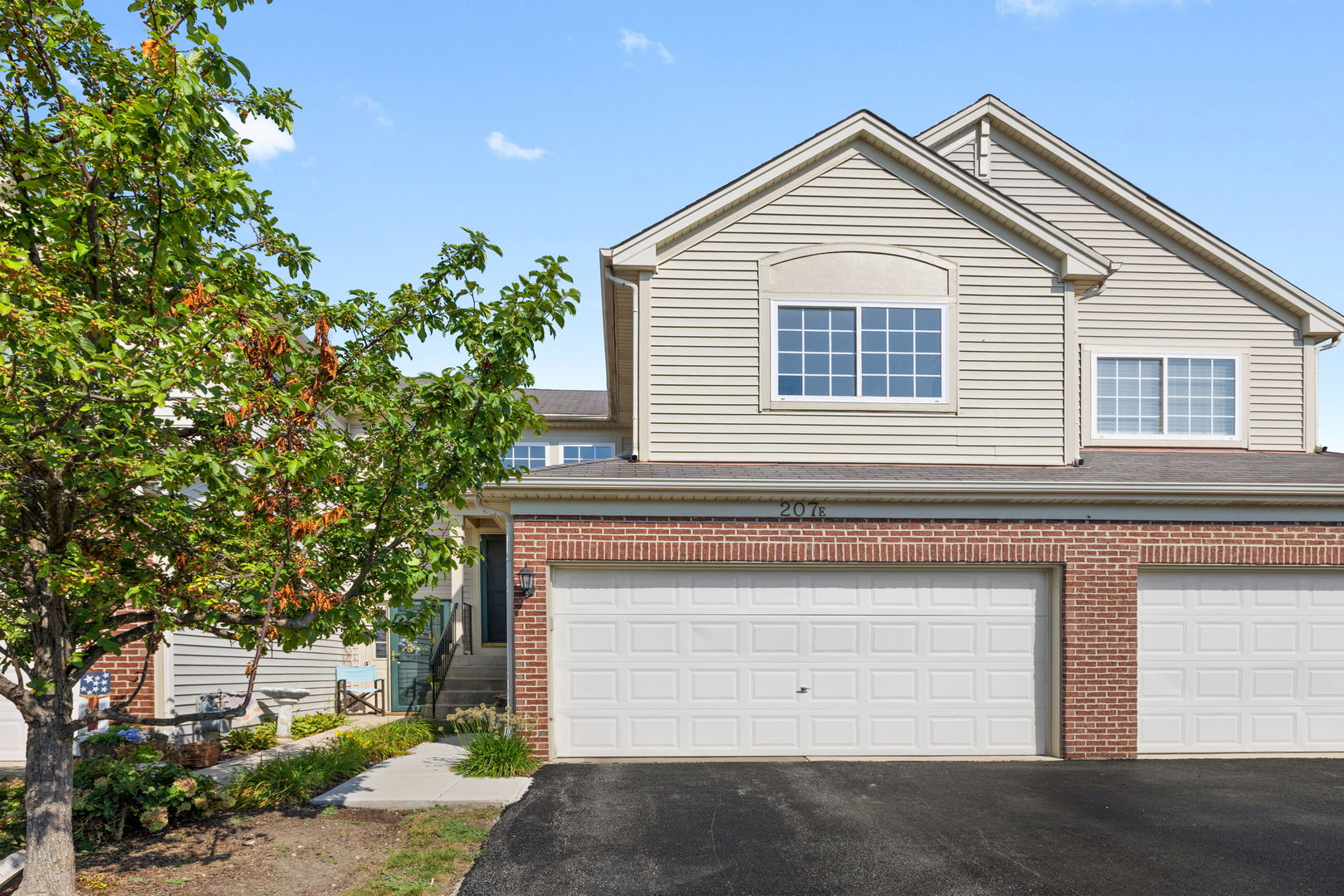 207 Nicole Drive Unit E, South Elgin IL 60177