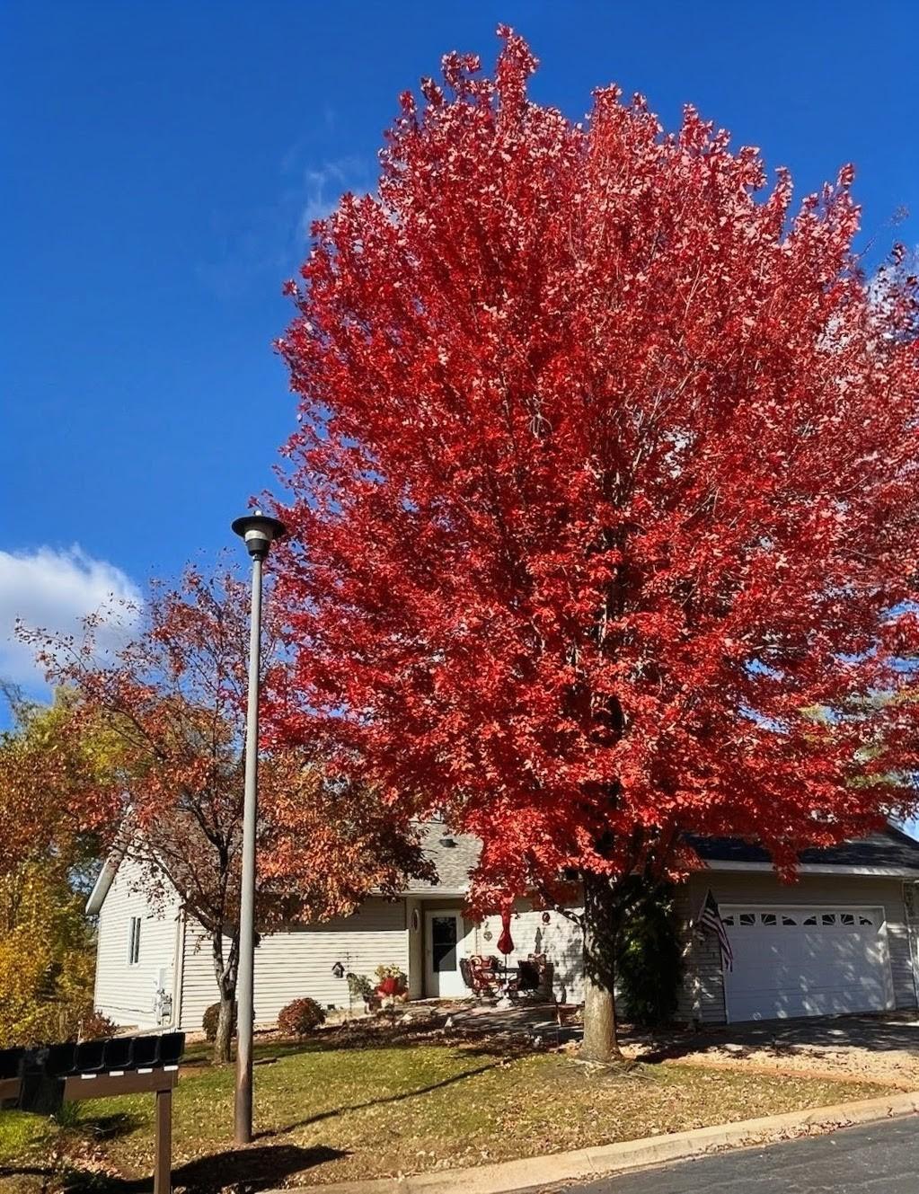 631 Norwood Lane, Big Lake MN 55309