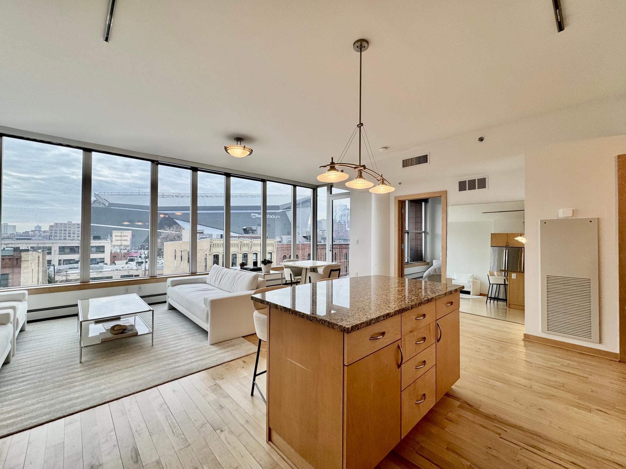 215 10th Avenue S Unit 534, Minneapolis MN 55415