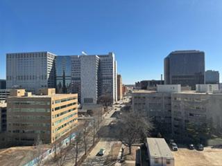 207 5th Avenue SW Unit 808, Rochester MN 55902